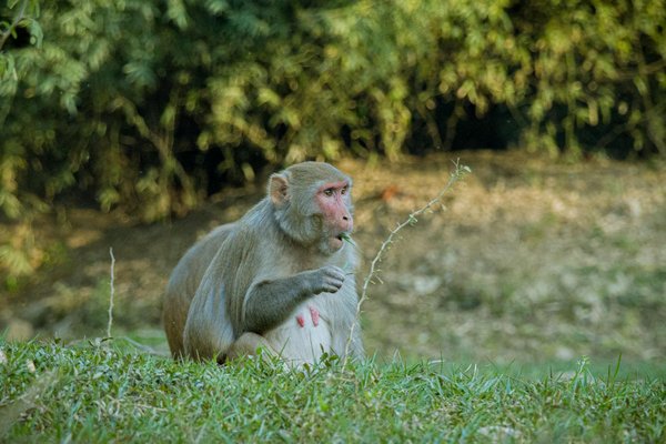 Comment localiser la pharmacie de garde la plus proche ?