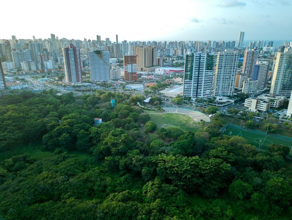 N26 : 10 raisons d'opter pour cette néobanque innovante