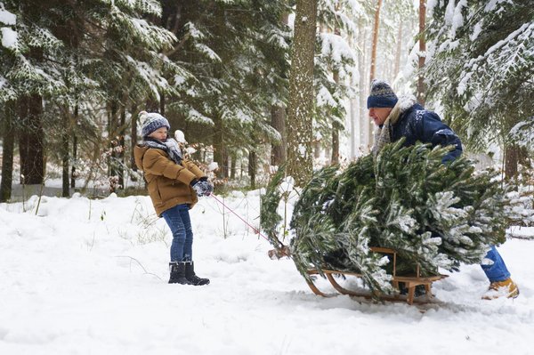 Comment choisir le parfait sapin de Noël artificiel ?